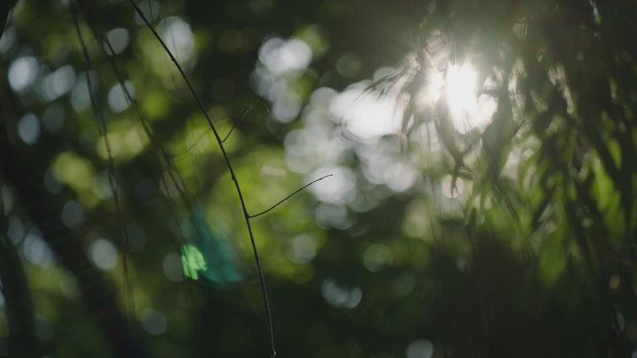 Ethnicraft Oak Spindle Bench