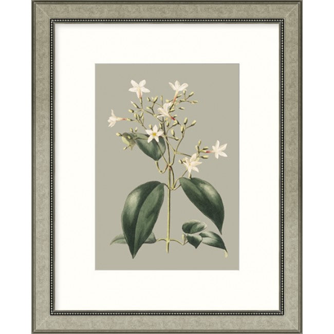 Botanical Cabinet I - Framed Art   $265.00