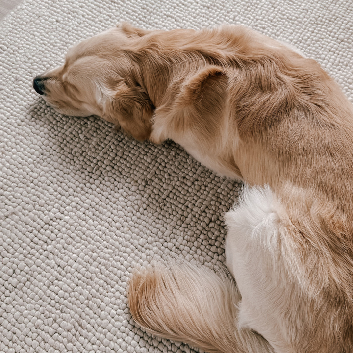 Kose Linea Rug - Beige