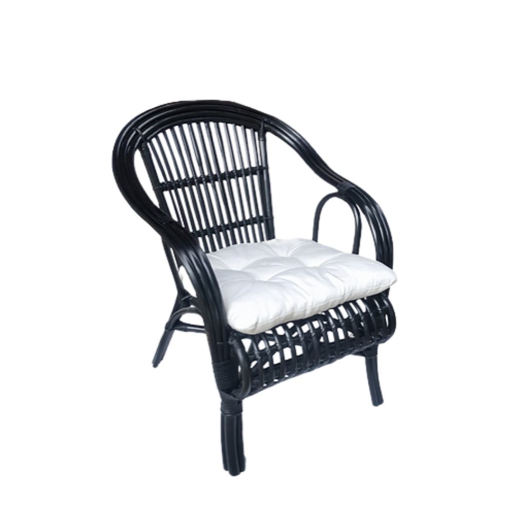 Rattan Veranda Chair