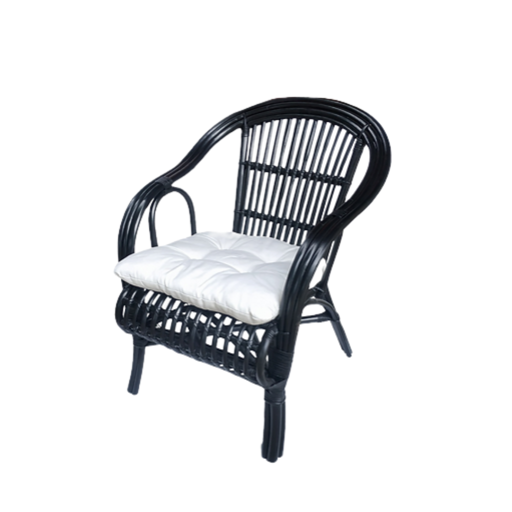Rattan Veranda Chair