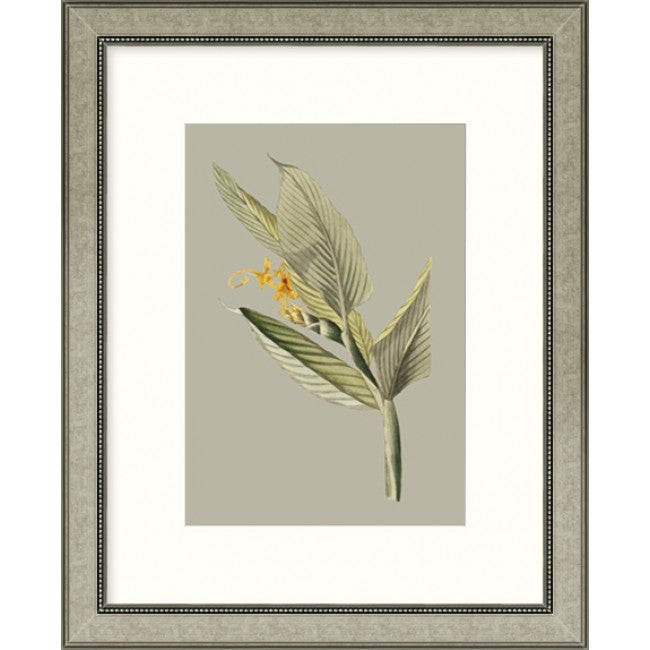 Botanical Cabinet III - Framed Art   $265.00